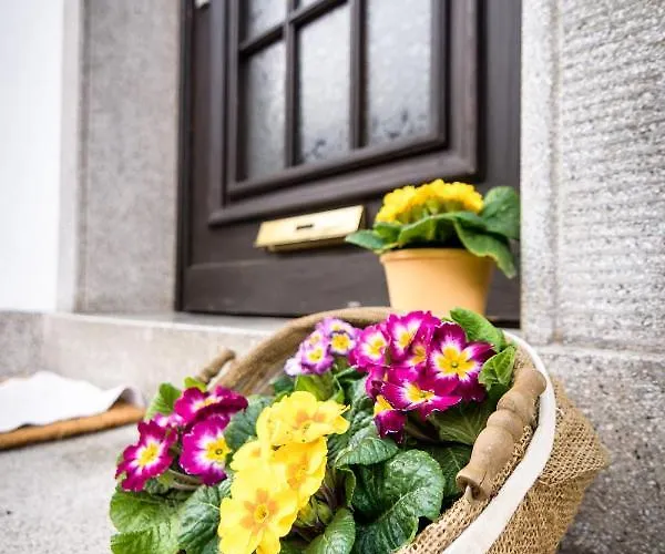 Richards 伊达尔-奥伯施泰因